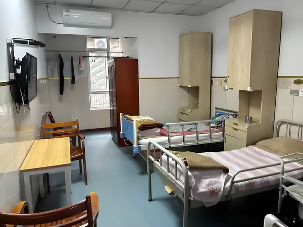 申请深圳积分入户吗_预售惨淡人气暴跌谁也救不了“狂妄自大”的那英 更快和世了界连接的速度